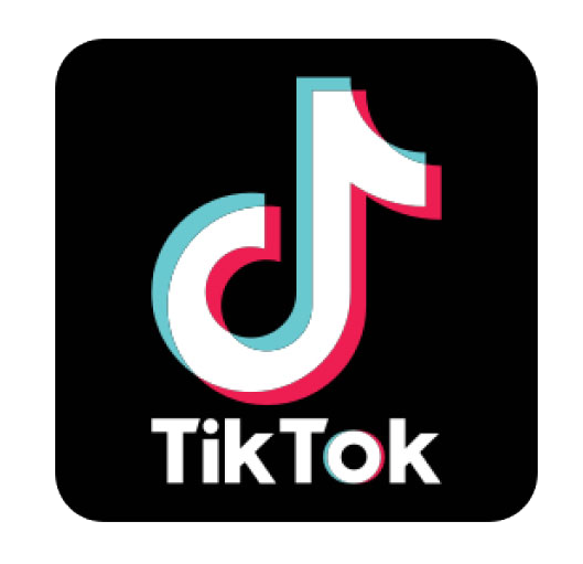 TikTok Page